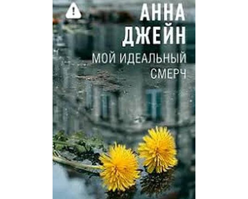 Мій ідеальний смерч — Анна Джейн