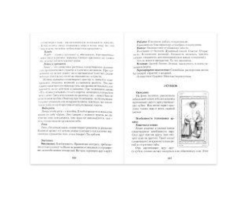 Набор Таро белых кошек: книга + колода