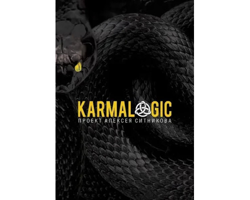 Karmalogic: Книга Алексея Ситникова