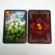 Карты Таро Золотые мечты Ленорман (Gilded Reverie Lenormand)