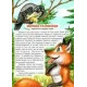 Веселі тваринки (Белкар-книга)