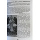 Черное солнце. Употребление и практика магов. Оленив И.